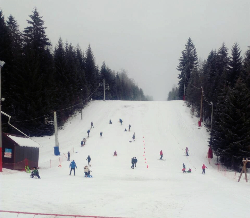 Veliki broj posjetilaca danas uživao u sankanju na Ponijerima – Održana i Škola skijanja